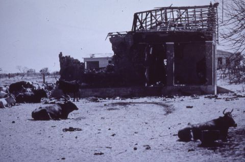 Results of incursions from South Africa in Kunene province.