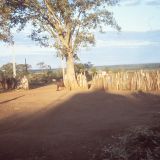 A camp for displaced persons as a result of South Arican incursions during the war. DW worked in partnership with the Angola Secretariat of State for Social Affairs (SEAS) and OMA (Angola women's organization) on the project.