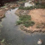 DW worked with the South West Africa Peoples Organization (SWAPO) on this project to support Namibian refugees.