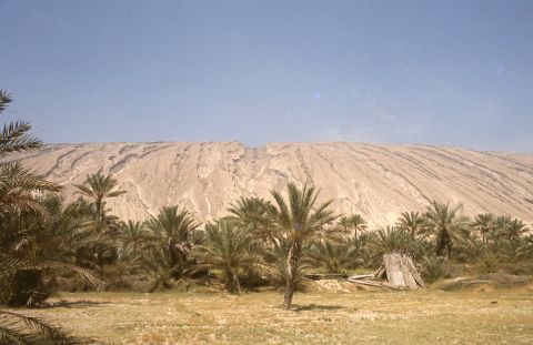Part of DW's Study for Developing Indigenous Building in Earthquake Regions in Iran.