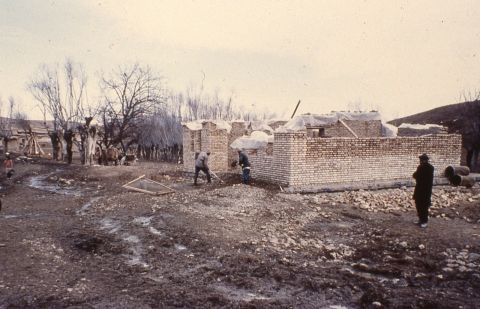 Sarab Shaik Ali.