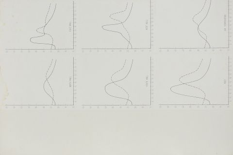 Cairo building research station survey notes.
