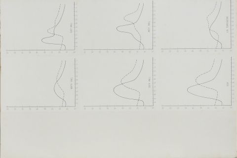 Cairo building research station survey notes.
